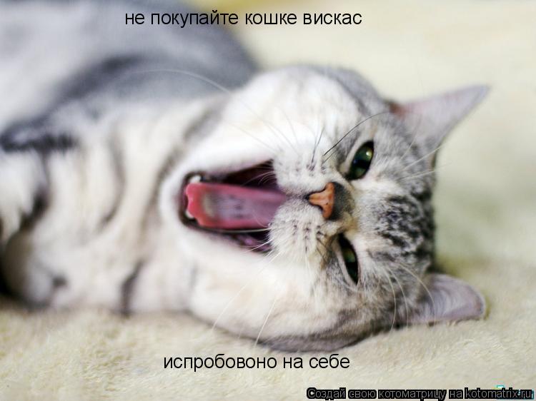 Котоматрица: не покупайте кошке вискас испробовоно на себе