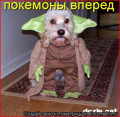 покемоны вперед... Котоматрица: покемоны вперед