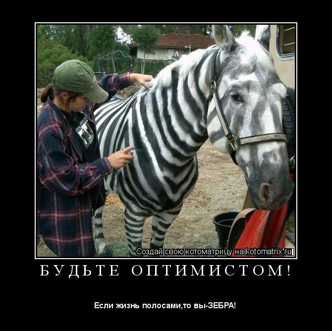 Котоматрица: Б У Д Ь Т Е   О П Т И М И С Т О М ! 