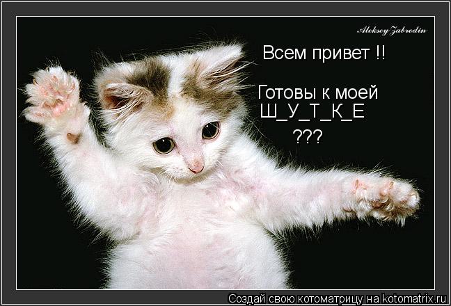 Котоматрица: Всем привет !! Готовы к моей  Ш_У_Т_К_Е  ???