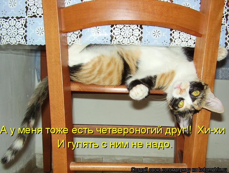 А у меня тоже есть четвероногий друг!! Хи-хи И гулять с ним не надо.... Котоматрица: А у меня тоже есть четвероногий друг!! Хи-хи И гулять с ним не надо.