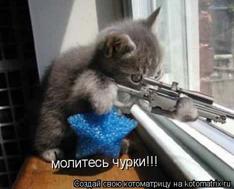 молитесь чурки!!!... Котоматрица: молитесь чурки!!!
