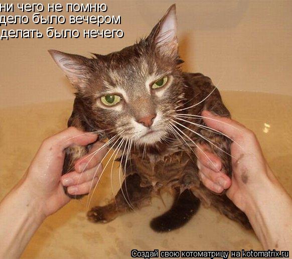 Котоматрица: ни чего не помню ни чего не помню дело было вечером делать было нечего