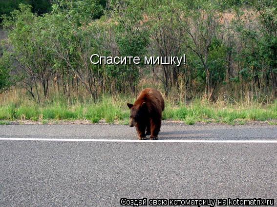 Котоматрица: Спасите мишку!