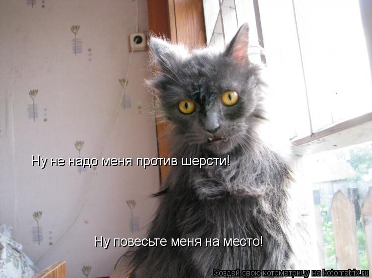 Ну не надо меня против шерсти! Ну повесьте меня на место!... Котоматрица: Ну не надо меня против шерсти! Ну повесьте меня на место!