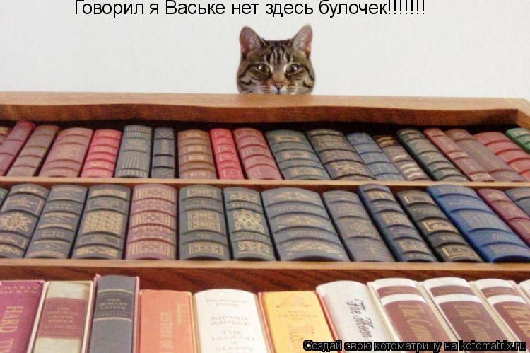 Котоматрица: Говорил я Ваське нет здесь булочек!!!!!!!