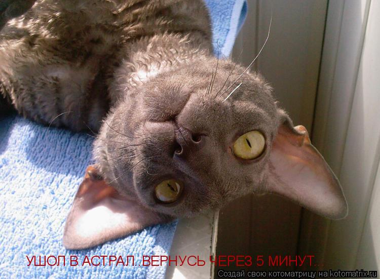 УШОЛ В АСТРАЛ..ВЕРНУСЬ ЧЕРЕЗ 5 МИНУТ...... Котоматрица: УШОЛ В АСТРАЛ..ВЕРНУСЬ ЧЕРЕЗ 5 МИНУТ...