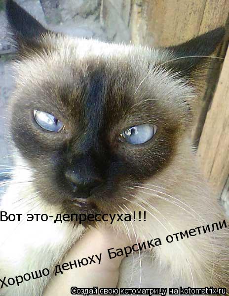 Котоматрица: Вот это-депрессуха!!! Хорошо денюху Барсика отметили.....