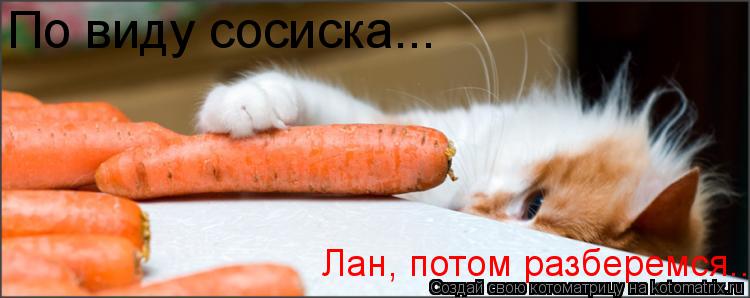 Котоматрица: По виду сосиска... Лан, потом разберемся..