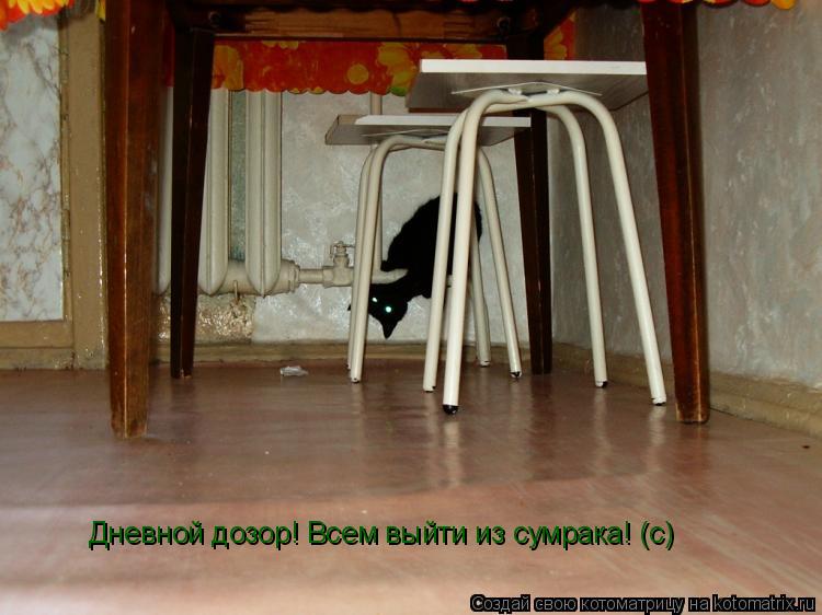 Дневной дозор! Всем выйти из сумрака! (с)... Котоматрица: Дневной дозор! Всем выйти из сумрака! (с)