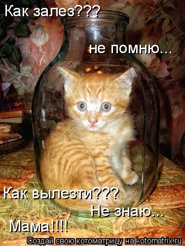Котоматрица: Как залез??? не помню... Как вылезти??? Не знаю... Мама!!!!