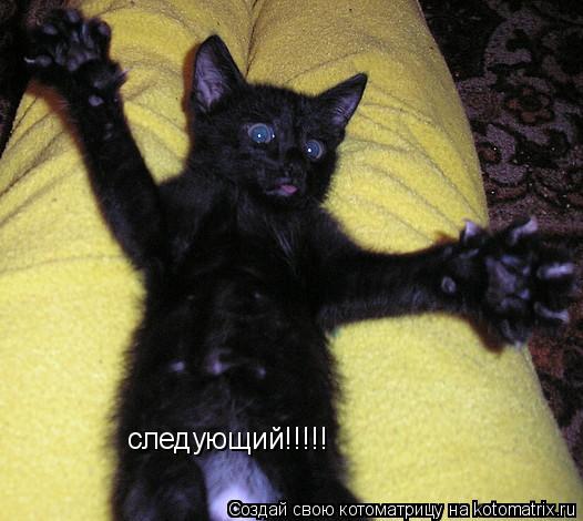 Котоматрица: следующий!!!!!