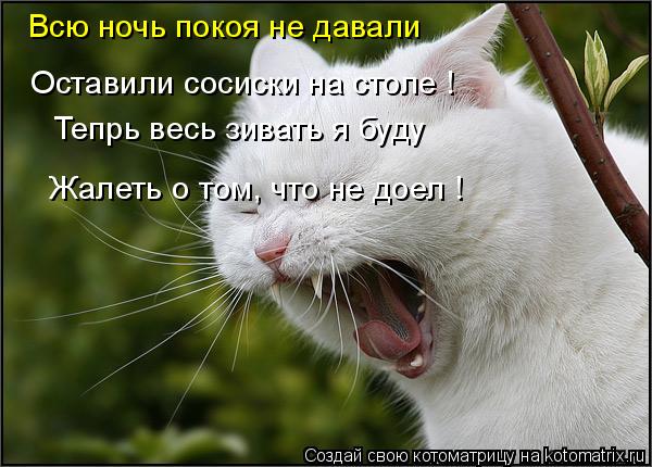 Котоматрица: Всю ночь покоя не давали Оставили сосиски на столе ! Тепрь весь зивать я буду Жалеть о том, что не доел !