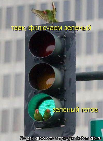 таак, фключаем зеленый зеленый готов... Котоматрица: таак, фключаем зеленый зеленый готов