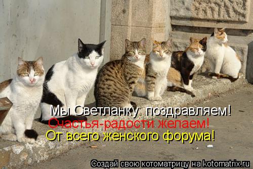 Котоматрица: Мы Светланку  поздравляем!  Счастья-радости желаем! От всего женского форума!