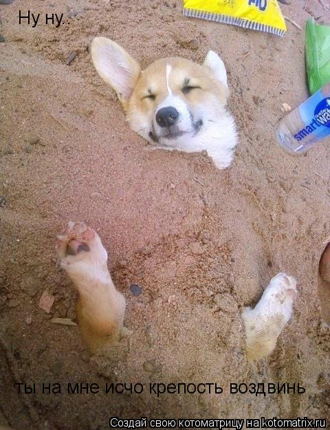 Ну ну.. ты на мне исчо крепость воздвинь... Котоматрица: Ну ну.. ты на мне исчо крепость воздвинь