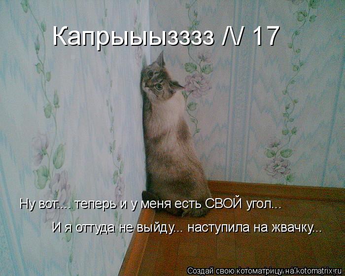 Котоматрица: Капрыыызззз // 17
