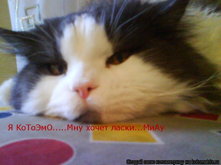 Котоматрица: Я КоТоЭмО.....Мну хочет ласки...МиАу