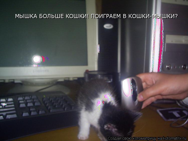 МЫШКА БОЛЬШЕ КОШКИ! ПОИГРАЕМ В КОШКИ-МЫШКИ?... Котоматрица: МЫШКА БОЛЬШЕ КОШКИ! ПОИГРАЕМ В КОШКИ-МЫШКИ?