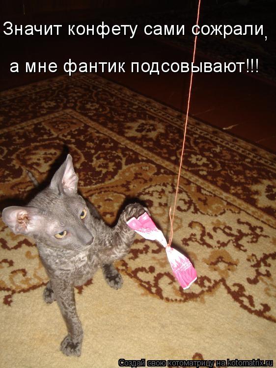 Котоматрица: Значит конфету сами сожрали  а мне фантик подсовывают!!! ,
