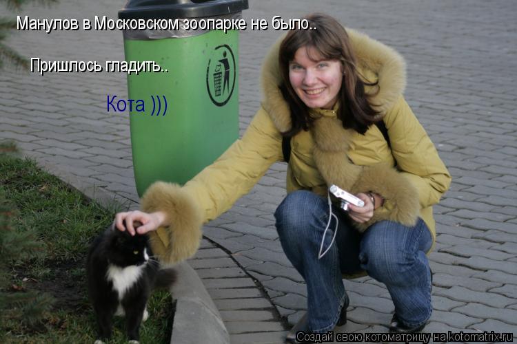 Манулов в Московском зоопарке не было.. Пришлось гладить.. Кота )))... Котоматрица: Манулов в Московском зоопарке не было.. Пришлось гладить.. Кота )))