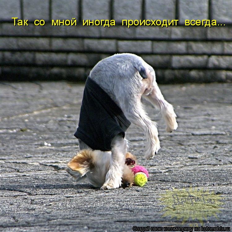 Котоматрица: Так  со  мной  иногда  происходит  всегда...