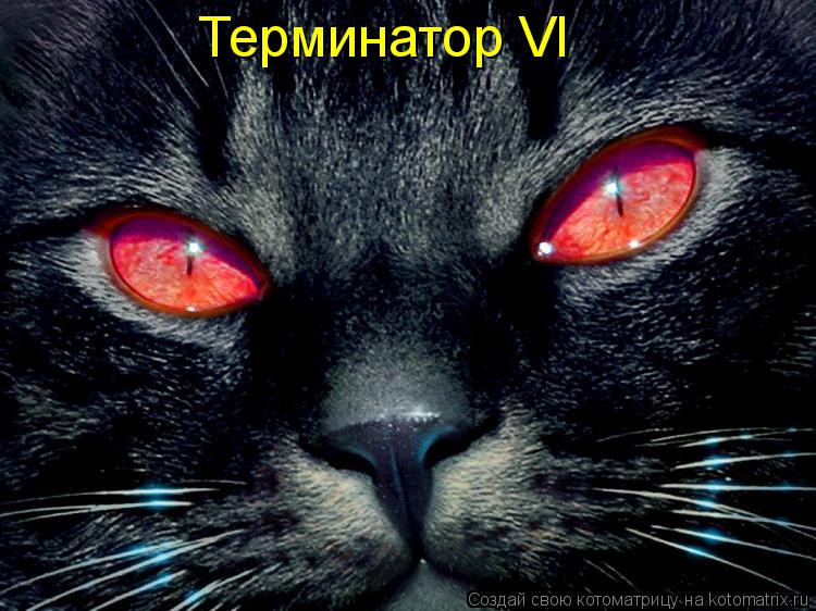 Котоматрица: Терминатор VI