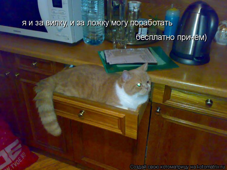 я и за вилку, и за ложку могу поработать бесплатно причём)... Котоматрица: я и за вилку, и за ложку могу поработать бесплатно причём)