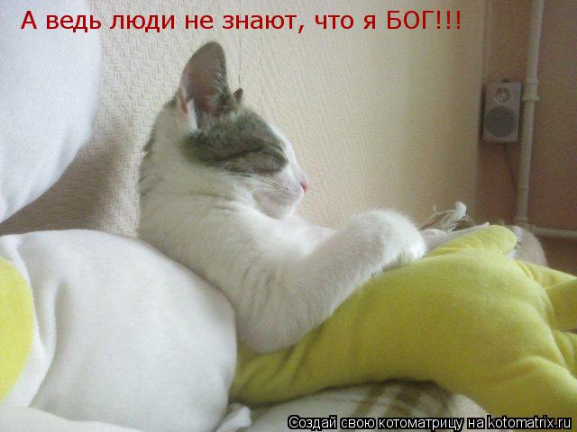 Котоматрица: А ведь люди не знают, что я БОГ!!!