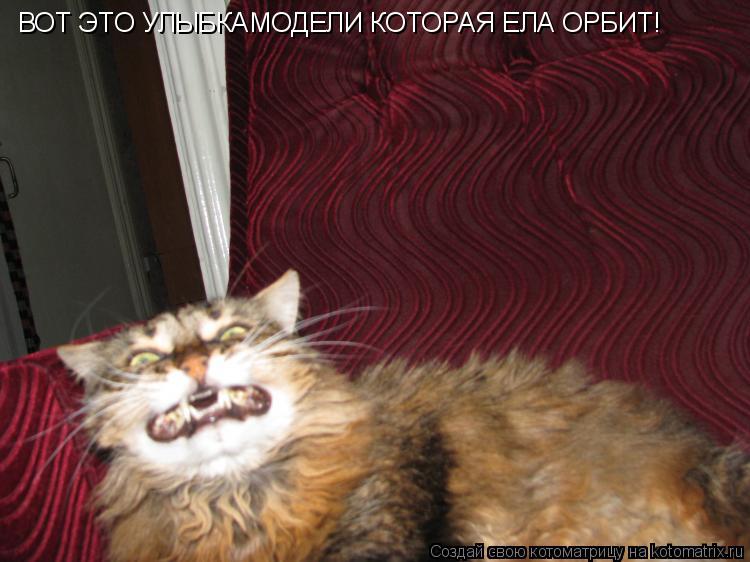 Котоматрица: ВОТ ЭТО УЛЫБКАМОДЕЛИ КОТОРАЯ ЕЛА ОРБИТ!
