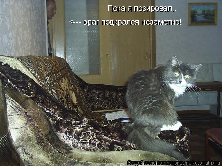Котоматрица: Пока я позировал.. <--- враг подкрался незаметно!