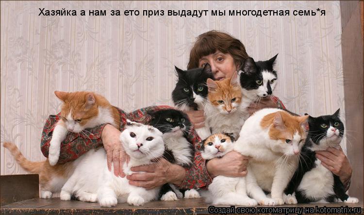 Котоматрица: Хазяйка а нам за ето приз выдадут мы многодетная семь*я