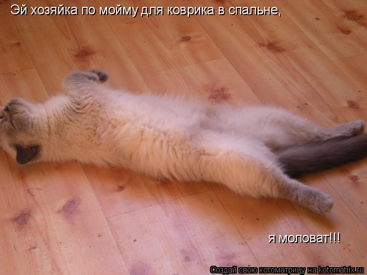 Котоматрица: Эй хозяйка по мойму для коврика в спальне, я моловат!!!