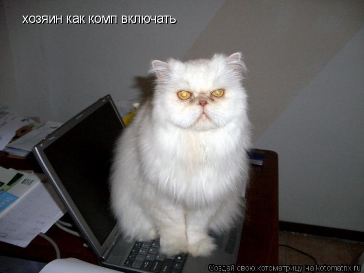 Котоматрица: хозяин как комп включать