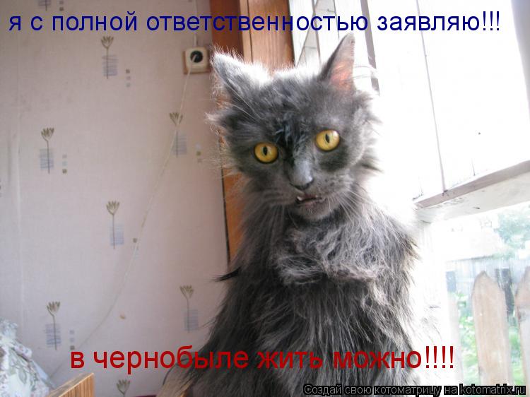 Котоматрица: я с полной ответственностью заявляю!!! в чернобыле жить можно!!!!