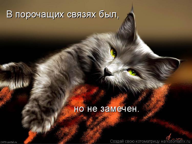 Котоматрица: В порочащих связях был,  но не замечен.