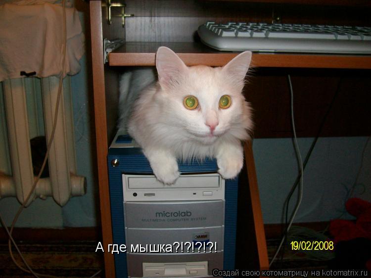 Котоматрица: А где мышка?!?!?!?!