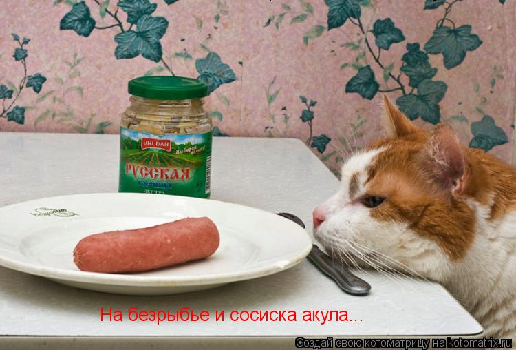 Котоматрица: На безрыбье и сосиска акула... На безрыбье и сосиска акула...