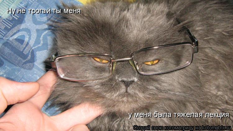 Ну не трогай ты меня у меня была тяжелая лекция... Котоматрица: Ну не трогай ты меня у меня была тяжелая лекция