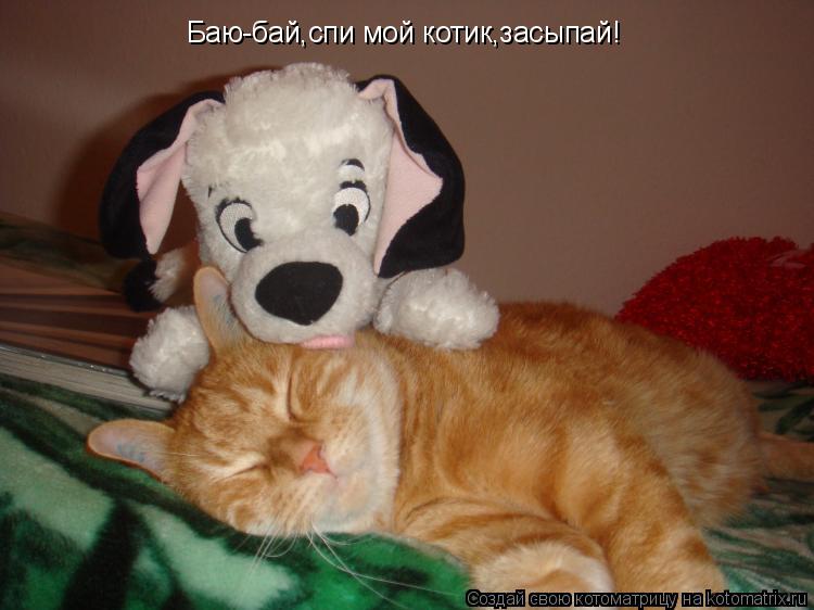 Котоматрица: Баю-бай,спи мой котик,засыпай!