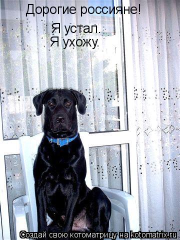 Котоматрица: Я устал. Дорогие россияне! Я ухожу.