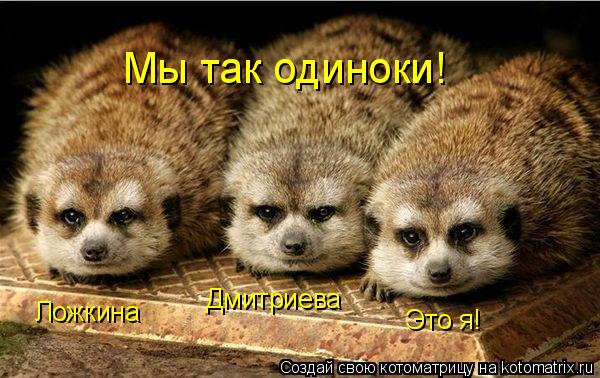 Котоматрица: Мы так одиноки! Ложкина Дмитриева Это я!