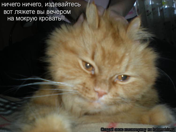 Котоматрица: вот ляжете вы вечером на мокрую кровать!! ничего ничего, издевайтесь