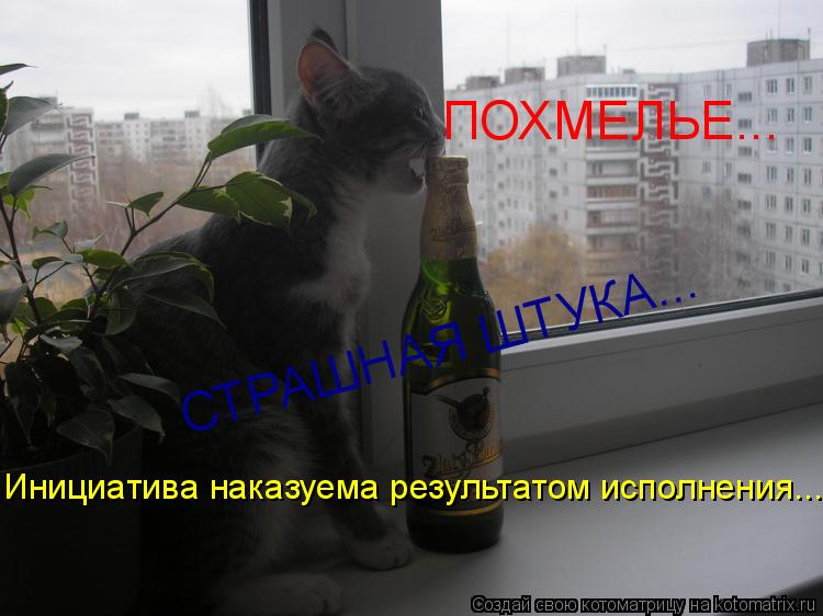 ПОХМЕЛЬЕ... СТРАШНАЯ ШТУКА... Инициатива наказуема результатом исполнения...... Котоматрица: ПОХМЕЛЬЕ... СТРАШНАЯ ШТУКА... Инициатива наказуема результатом исполнения...