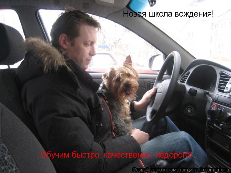 Новая школа вождения! Обучим быстро, качественно, недорого!... Котоматрица: Новая школа вождения! Обучим быстро, качественно, недорого!