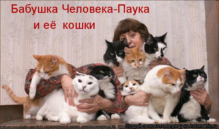 Бабушка Человека-Паука и её кошки... Котоматрица: Бабушка Человека-Паука и её кошки
