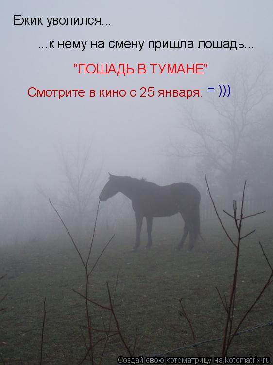 Котоматрица: Ежик уволился... ...к нему на смену пришла лошадь... "ЛОШАДЬ В ТУМАНЕ" Смотрите в кино с 25 января. = )))