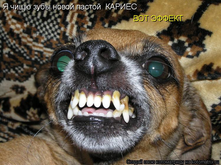 Котоматрица: Я чищю зубы новой пастой  КАРИЕС  ВОТ ЭФФЕКТ