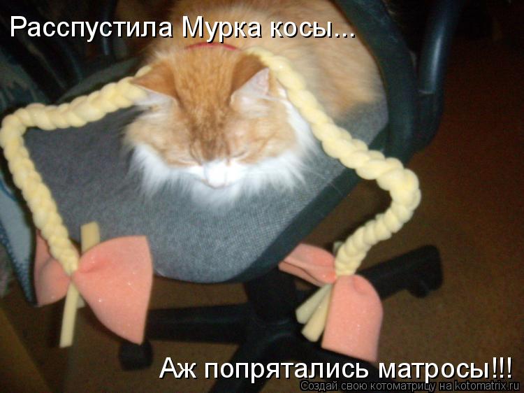 Котоматрица: Расспустила Мурка косы... Аж попрятались матросы!!!
