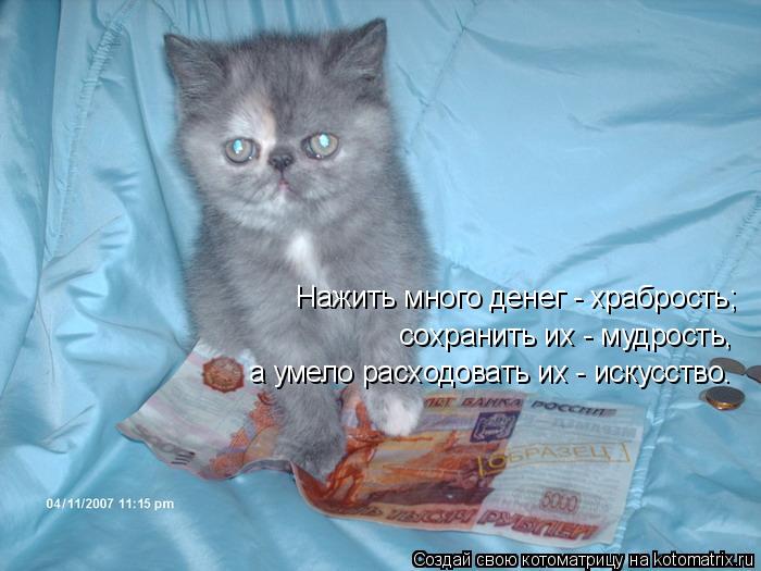 Котоматрица: Нажить много денег - храбрость; сохранить их - мудрость, а умело расходовать их - искусство.